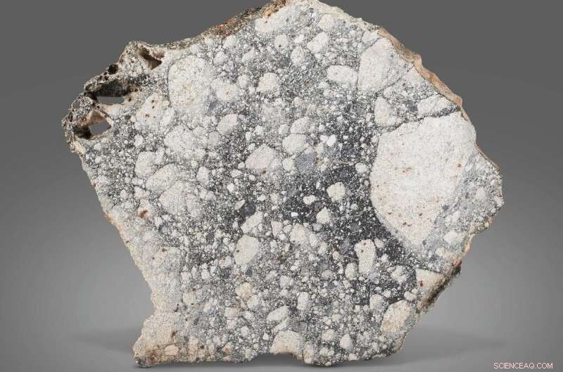 Rare Meteorite That Struck German Shepherd s Kennel Sells for $21,420 at Christie’s