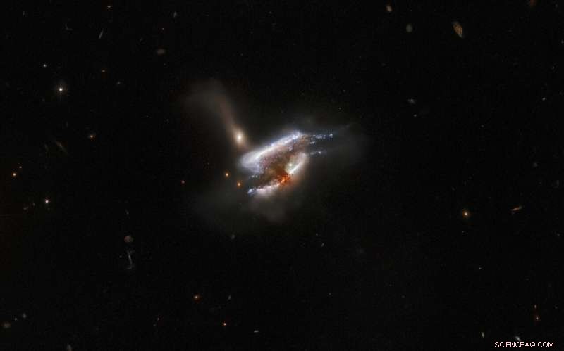 Hubble Reveals Stunning Swirl of Merging Galaxies in IC 2431