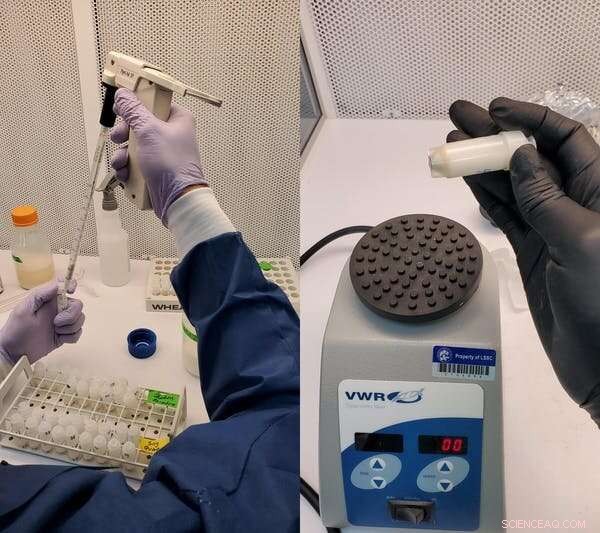 High School Students Lead Experiment with Space-Born Yogurt from the ISS