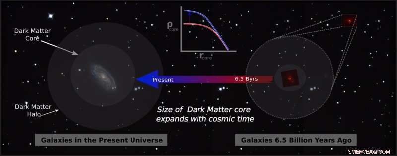 Unveiling Dark Matter: Insights from Distant Spiral Galaxies