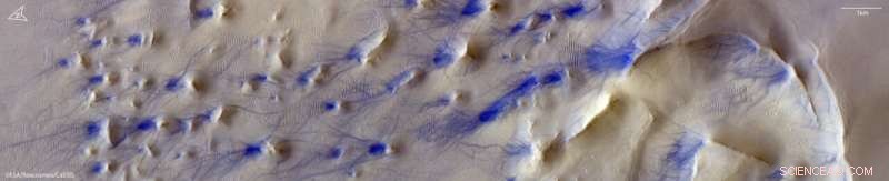 Hooke Crater on Mars: Wind‑Sculpted Ripples and Dust Devil Tracks