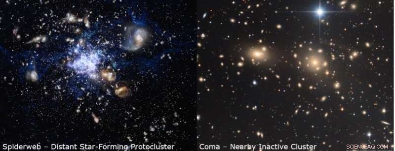 Ancient Galaxy Cluster Uncovers Unusually Large Population of Quiescent Galaxies