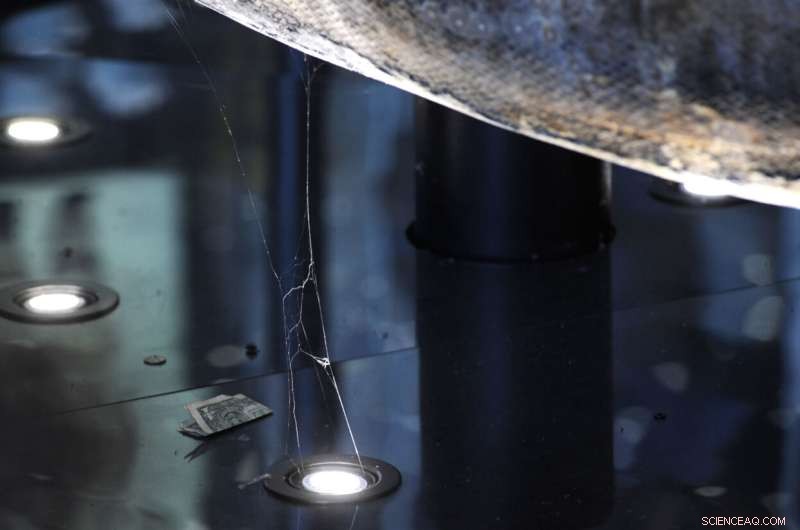 Apollo 16 Spaceship Revitalized Ahead of 50th Anniversary Celebration