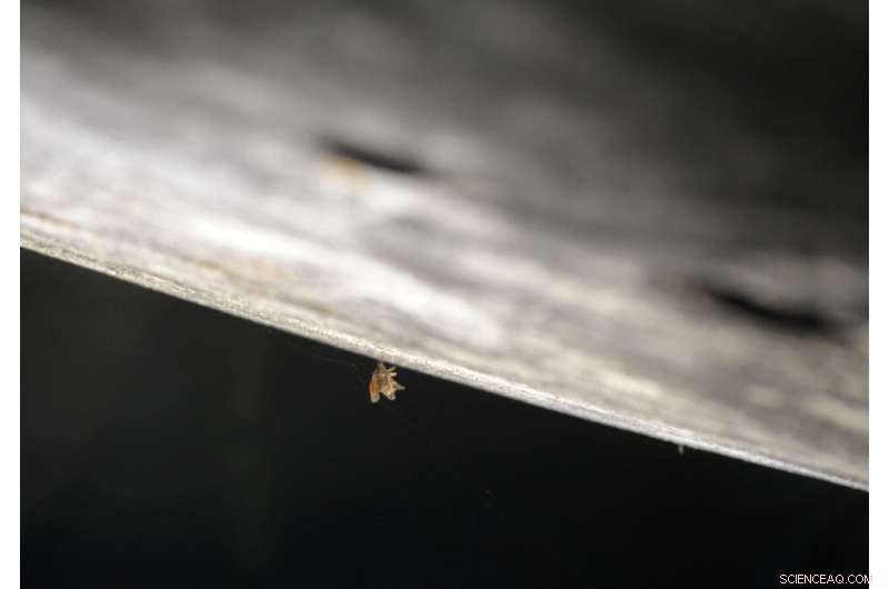 Apollo 16 Spaceship Revitalized Ahead of 50th Anniversary Celebration