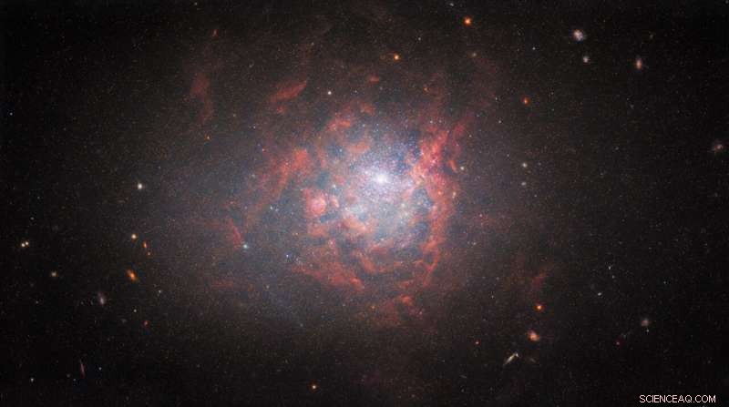 Hubble Telescope Reveals Starbursting Dwarf Galaxy NGC 1705