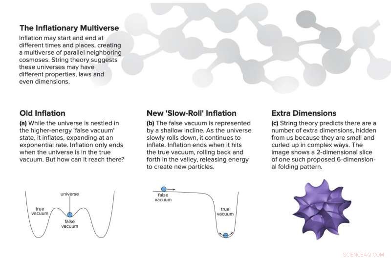 Is the Fine‑Tuned Universe Real or an Illusion? Exploring Multiverse Explanations