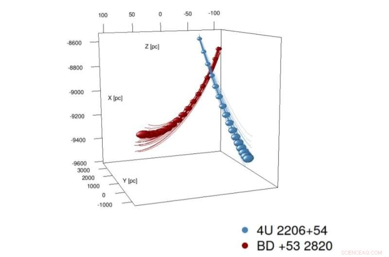 New Study Reveals the Origins of High-Mass X-ray Binary 4U 2206+54