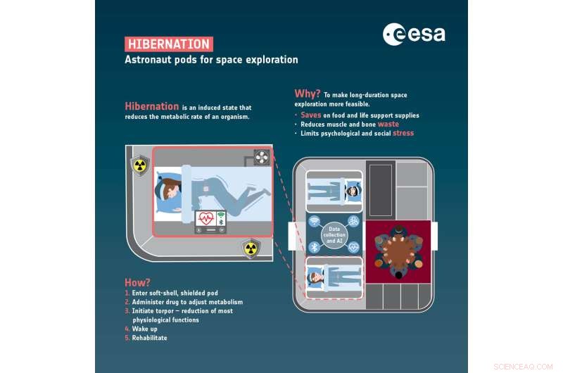 Harnessing Bear-Inspired Hibernation for Cost-Effective Mars Missions