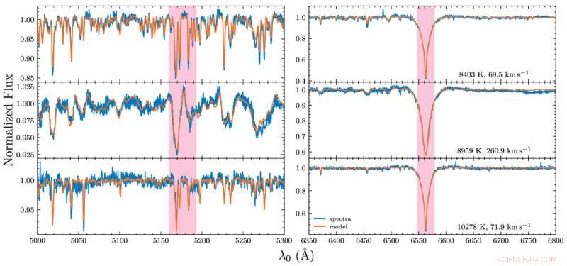 LAMOST Unveils Hot Stars  Rotational Secrets