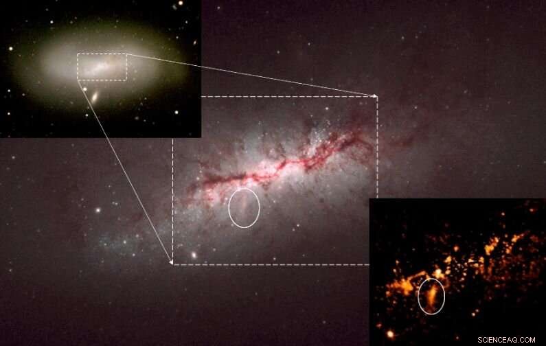 Unveiling Spiral Galaxy Evolution: How NGC 4424 Sheds Light on Cosmic Destiny