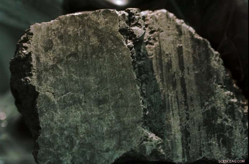 New Research Confirms Antarctic Meteorite Contains No Evidence of Ancient Martian Life