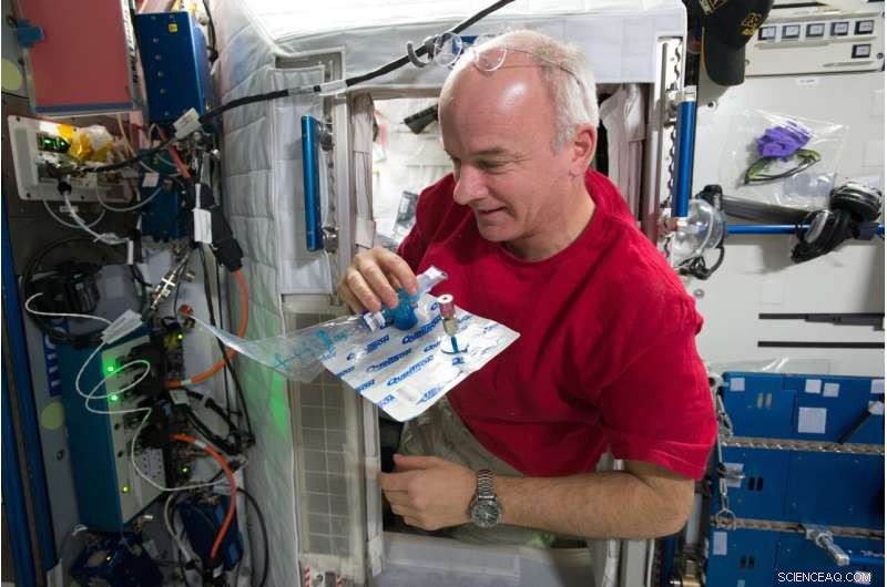 Space Travel Elevates Red Blood Cell Destruction by 54% – Findings from the MARROW Study