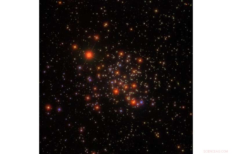 Blue Straggler Stars in M67 Spin Faster After Companion Accretion