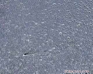 SoloHI Captures Stunning Images of Comet Leonard During its Christmas Flyby