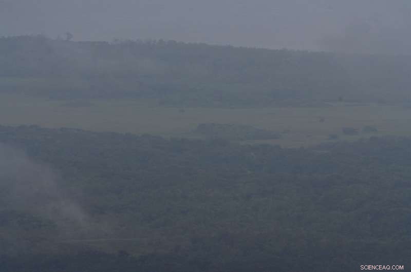 James Webb Space Telescope Launches from French Guiana