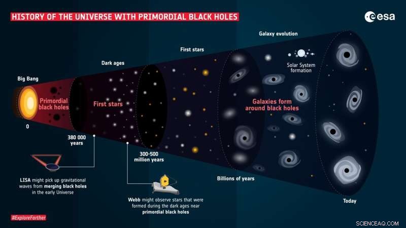 Did Primordial Black Holes Form Immediately After the Big Bang?