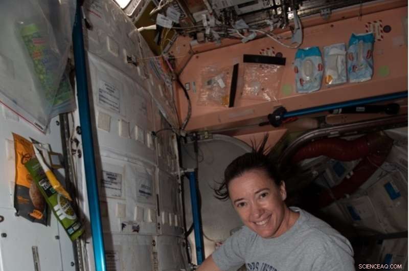 SpaceX-24 Mission: Launching New Biological & Physical Experiments to the ISS