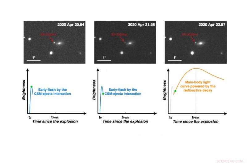 Astronomers Record Record-Breaking Optical Flash from Newborn Type Ia Supernova