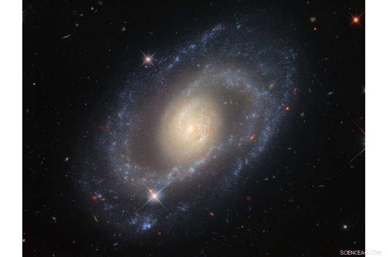 Hubble Reveals Detailed Spiral Galaxy Mrk 1337 in Virgo