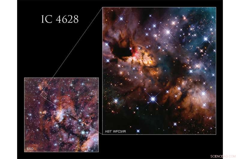 Hubble Captures Stunning View of the Prawn Nebula in Scorpius