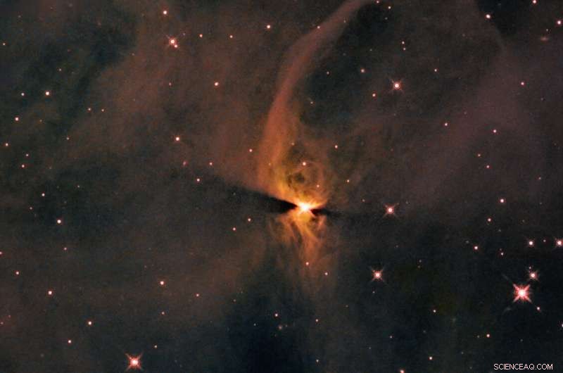 Hubble Reveals New Protostar Forming in IC 2631