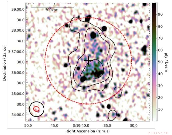 New Insights into Galaxy Cluster ACT-CL J0019.6+0336 from Multiwavelength Study