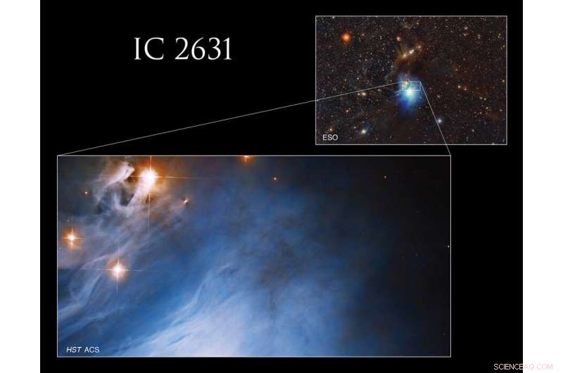 Hubble Captures Protostar in IC 2631: Reflected Starlight Illuminates Star Formation