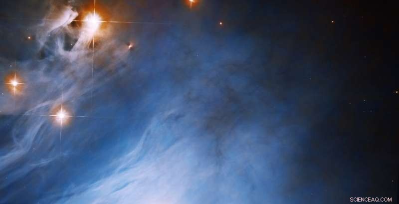 Hubble Captures Protostar in IC 2631: Reflected Starlight Illuminates Star Formation