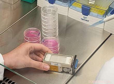 Space Mission: Monitoring Astronaut Body Temperature During Long-Term Flights