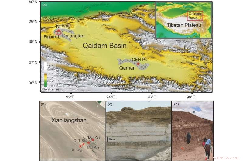Exploring Martian Life: Insights from Qaidam Basin Analog Sites