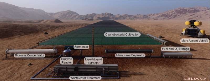 Creating Sustainable Rocket Fuel on Mars with Photobioreactors