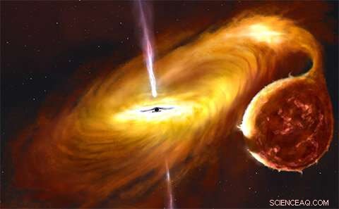 Warped Accretion Disk Detected Around Nearby Black Hole