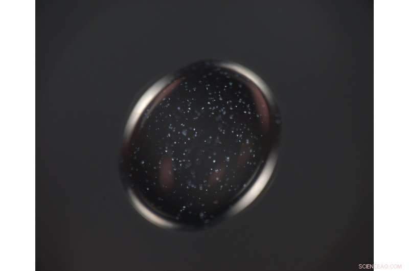 NASA s SpaceX Crew‑3 Mission: Four Astronauts Launch to ISS with New Microgravity Research