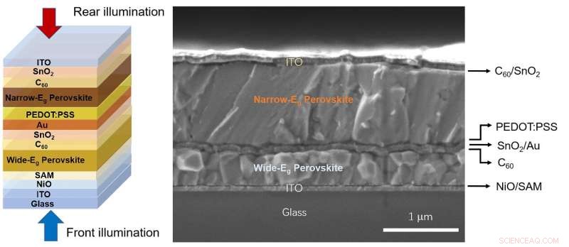 New Bifacial Monolithic All‑Perovskite Tandem Solar Cells: A Breakthrough Architecture