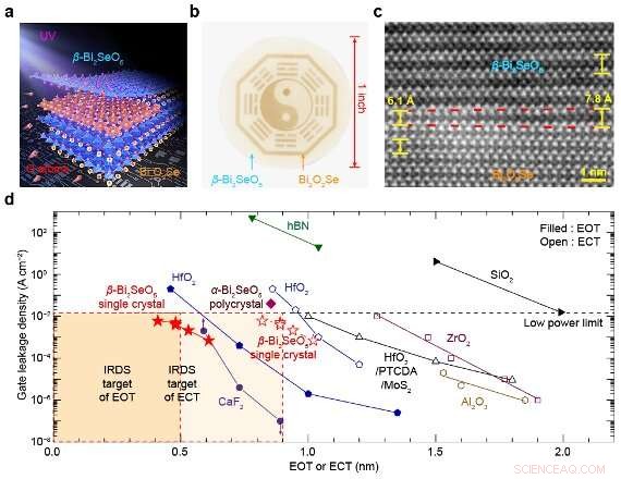 Engineering a Sub‑0.5 nm β‑Bi₂SeO₅ Dielectric for Wafer‑Scale 2D Semiconductor Integration