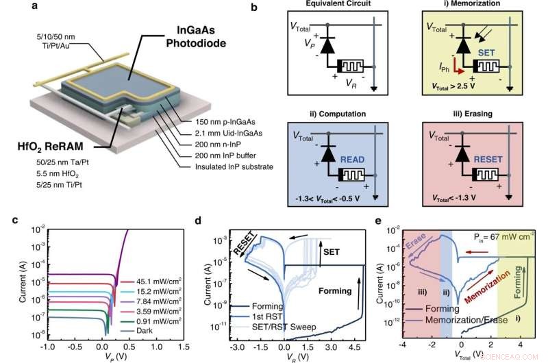Cutting‑Edge In‑Sensor Image Memorization and Encoding with Integrated InGaAs 1P‑1R Devices
