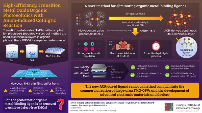 Boosting Organic Photovoltaic Efficiency with Transition Metal Oxide Interfaces