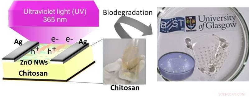 Advanced Eco‑Friendly Disposable Sensors for Accurate Wearable Dosimetry