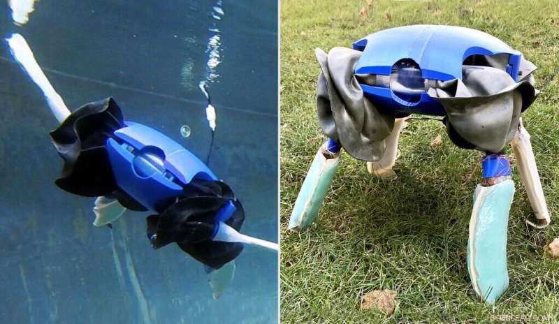 Introducing ART: Yale’s Adaptive Morphogenesis Robot for Seamless Land‑to‑Water Mobility