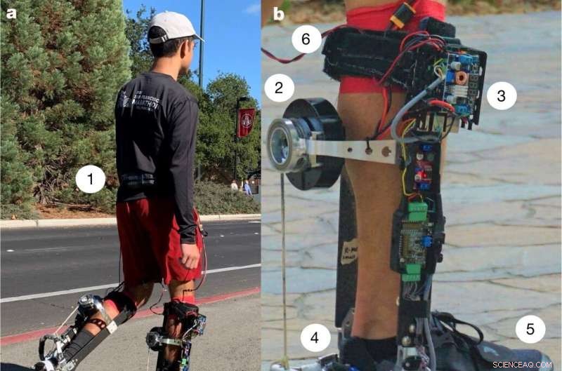 Untethered Ankle Exoskeleton Enables Real-World Mobility