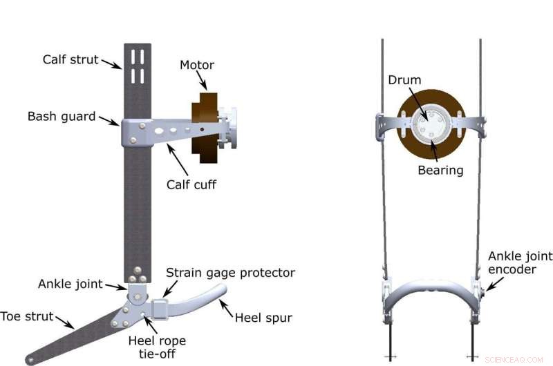 Untethered Ankle Exoskeleton Enables Real-World Mobility