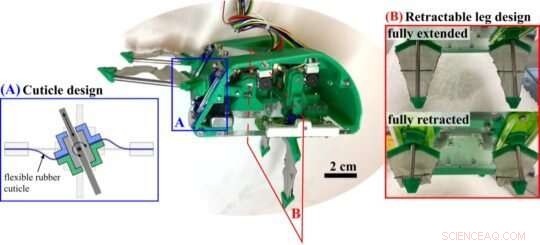 EMBUR: A Groundbreaking Burrowing Robot Inspired by the Pacific Mole Crab