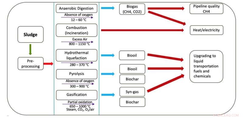 Harnessing Wastewater Energy: Turning Sludge into Renewable Power