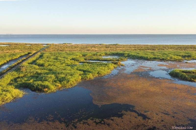 US Gulf Coast Faces Rapid LNG Plant Expansion: Residents Raise Concerns