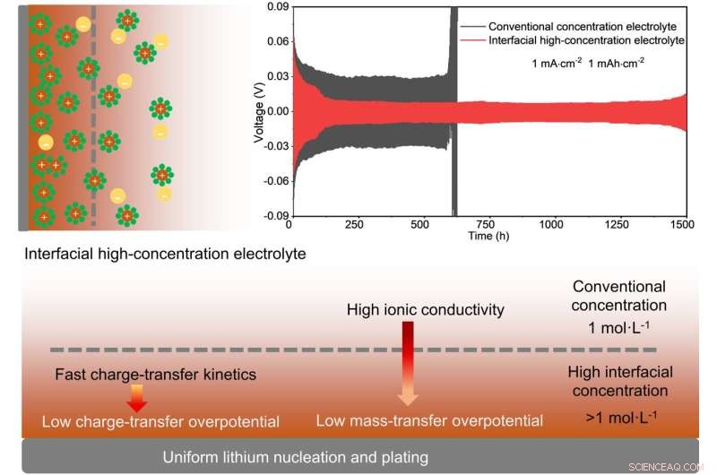 Scientists Develop Advanced Electrolyte to Boost Lithium Metal Anode Performance