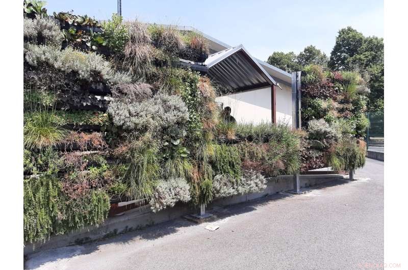 Nature-Based Solutions Drive Greener Urban Renewal