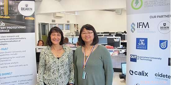 Revolutionary Polymer Battery Design Paves Way for Sustainable Energy