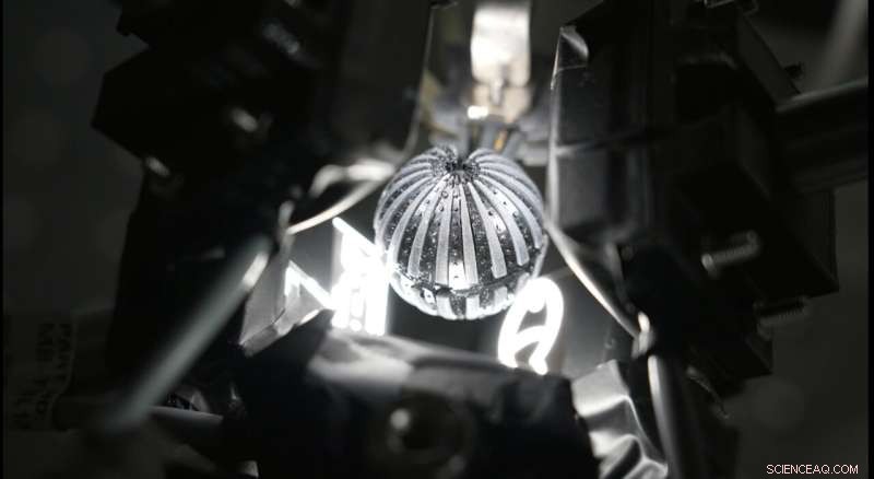 Robust Crab-Inspired Vision System for Terrestrial and Aquatic Robotics