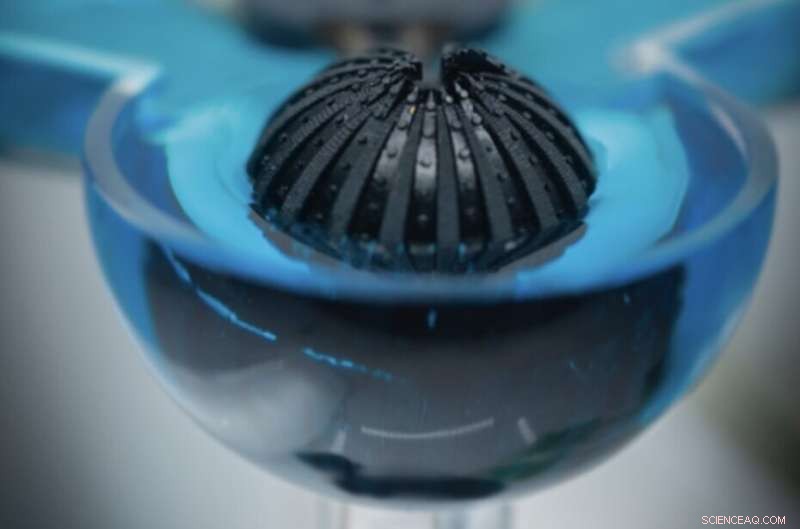 Robust Crab-Inspired Vision System for Terrestrial and Aquatic Robotics