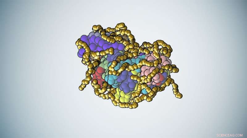 Robotics and AI Accelerate Protein Stabilization